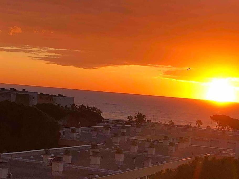 Appartement Vue Mer Au Lavandou Le Lavandou Bagian luar foto