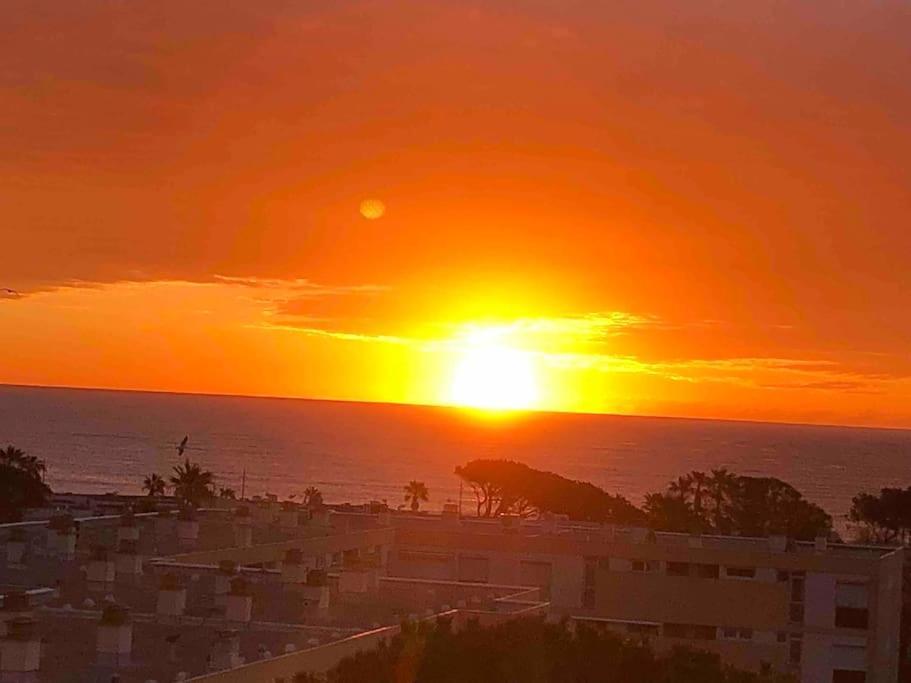 Appartement Vue Mer Au Lavandou Le Lavandou Bagian luar foto