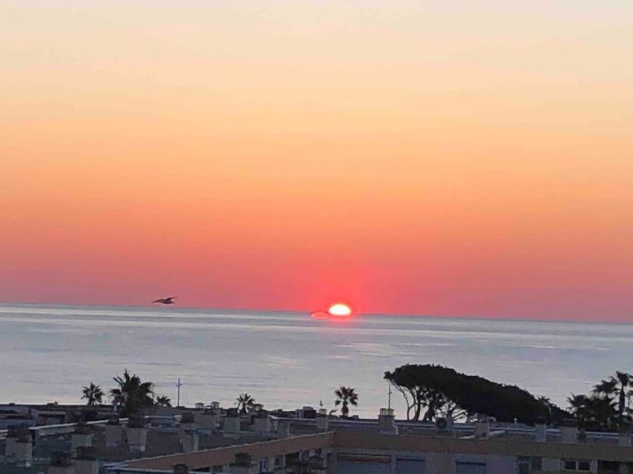 Appartement Vue Mer Au Lavandou Le Lavandou Bagian luar foto